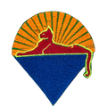 Grateful cat under stars iron-on embroidered patch